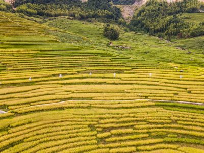 微信图片_20240821153909